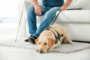 LARGE bigstock Blind man with guide dog sitti 211551613